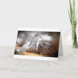 Långsamma dagar, kort