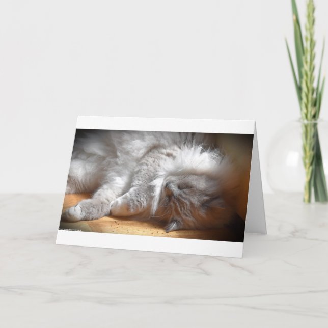 Långsamma dagar, kort (Framsida)