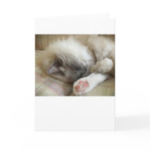 Långsamma dagar, kort