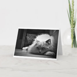 Långsamma dagar, kort