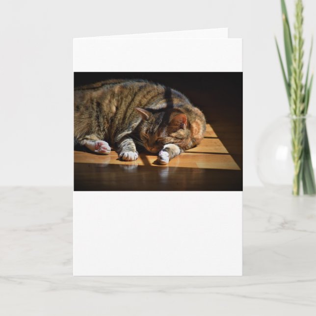 Långsamma dagar, kort (Framsida)