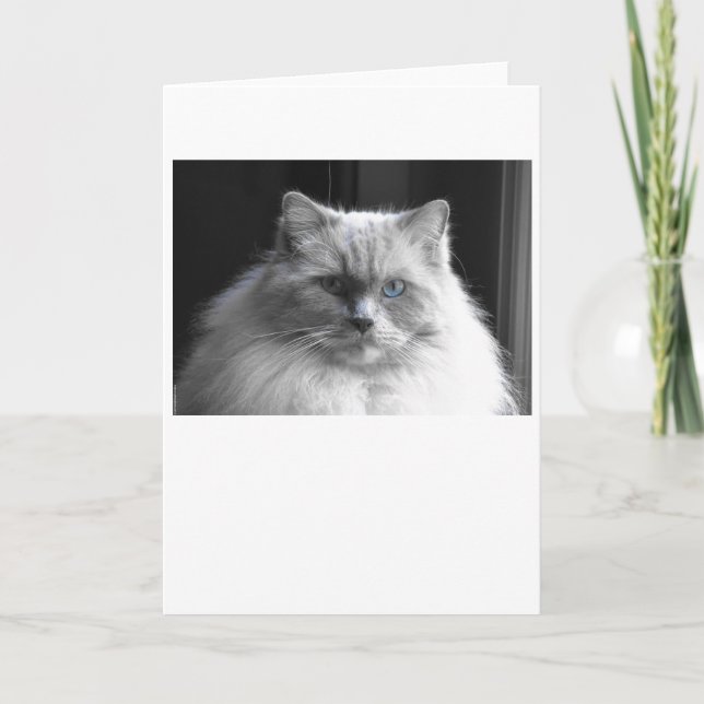 Långsamma dagar, kort (Framsida)