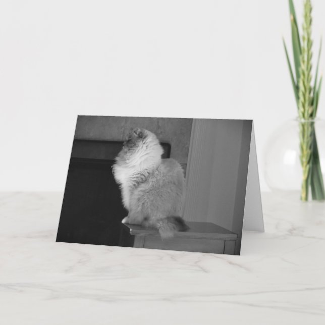 Långsamma dagar, kort (Framsida)