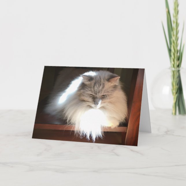 Långsamma dagar, kort (Framsida)