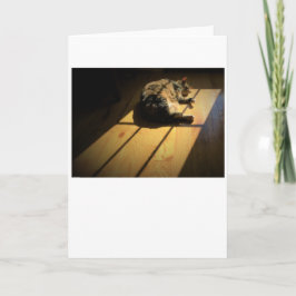 Långsamma dagar, kort