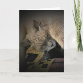 Långsamma dagar, kort