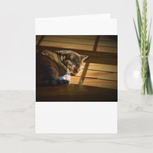 Långsamma dagar, kort (Framsida)