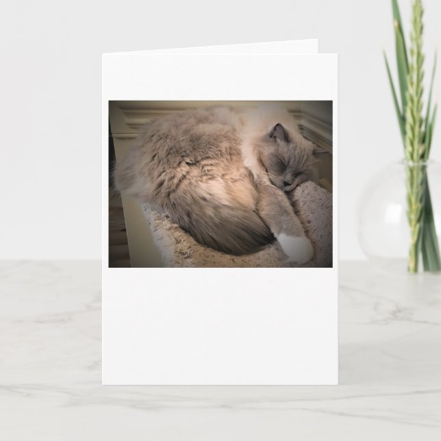 Långsamma dagar, kort (Framsida)