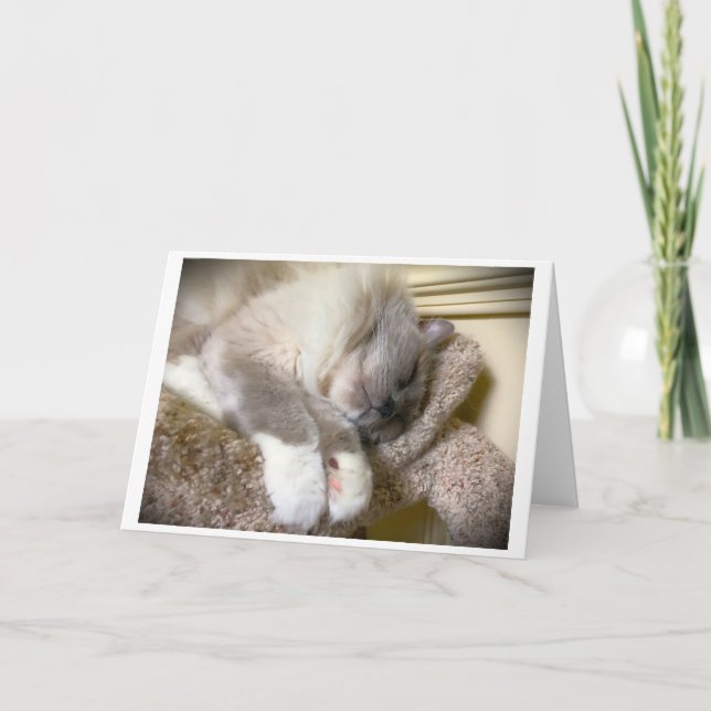 Långsamma dagar, kort (Framsida)