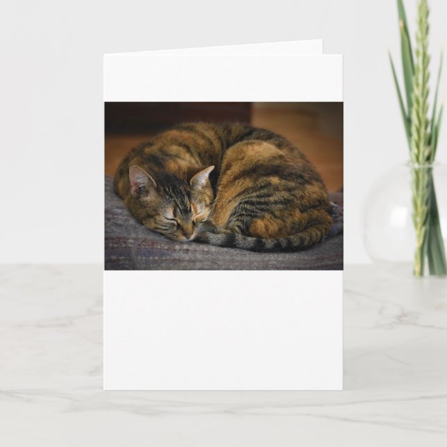 Långsamma dagar, kort (Framsida)