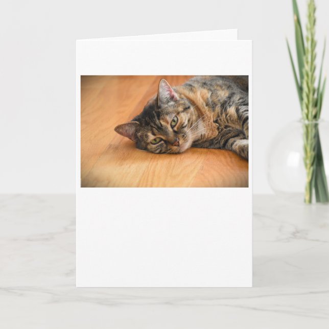 Långsamma dagar, kort (Framsida)