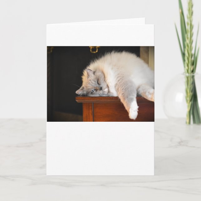 Långsamma dagar, kort (Framsida)