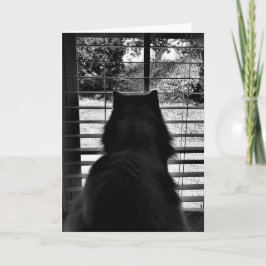 Långsamma dagar, kort