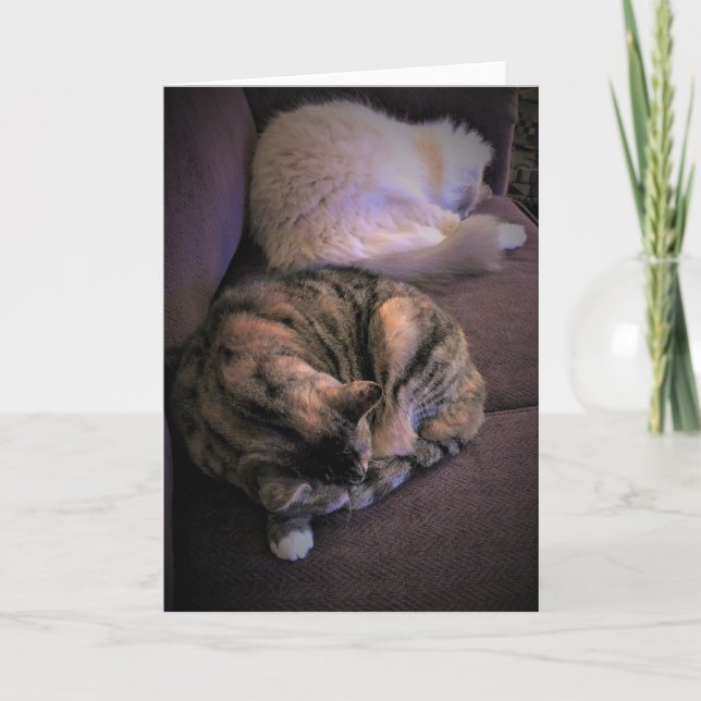 Långsamma dagar, kort (Framsida)