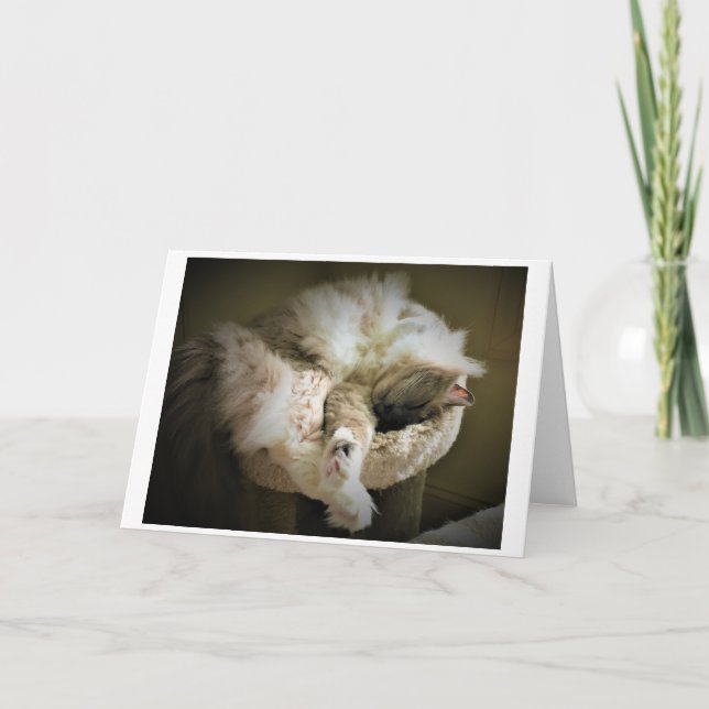 Långsamma dagar, kort (Framsida)