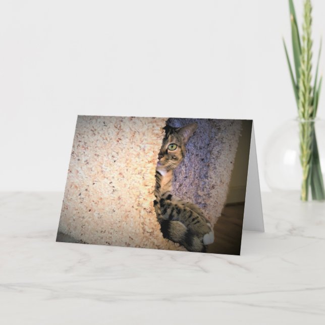 Långsamma dagar, kort (Framsida)