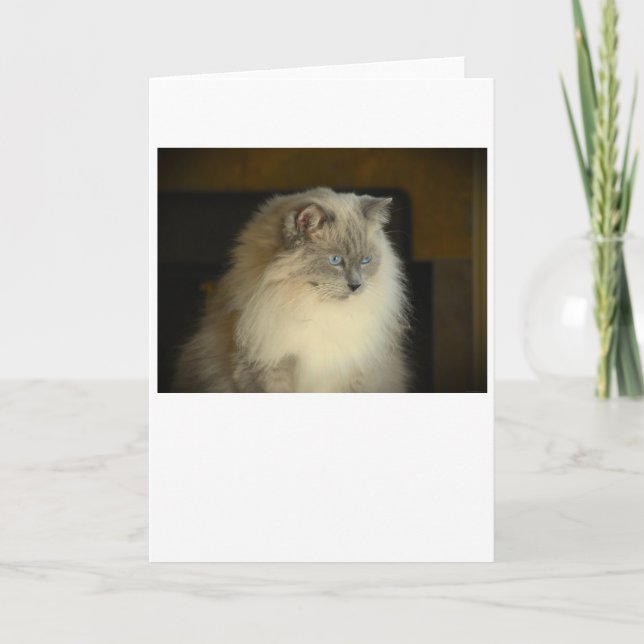 Långsamma dagar, kort (Framsida)