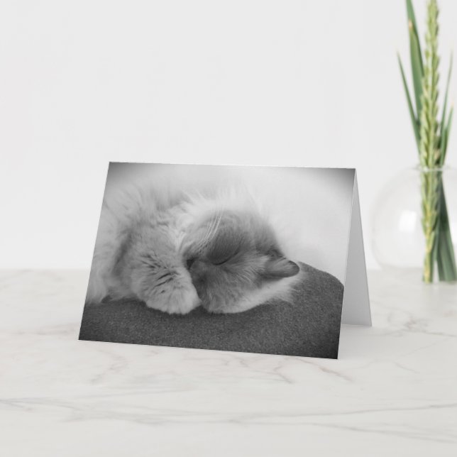 Långsamma dagar, kort (Framsida)