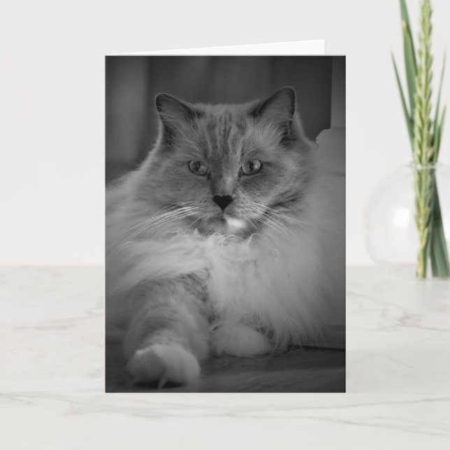 Långsamma dagar, kort (Framsida)