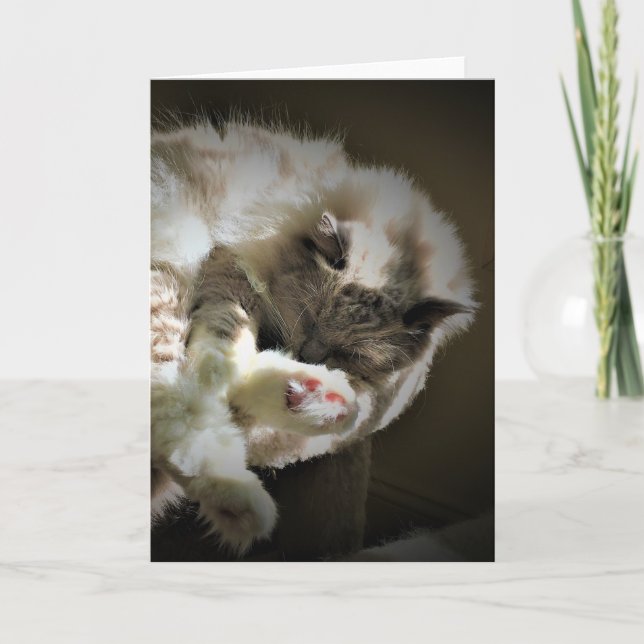 Långsamma dagar, kort (Framsida)