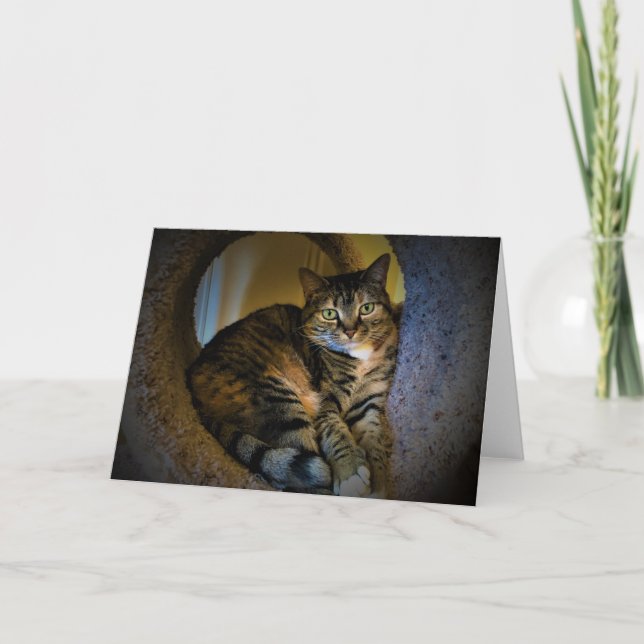 Långsamma dagar, kort (Framsida)