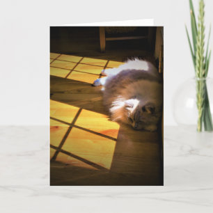 Långsamma dagar, kort