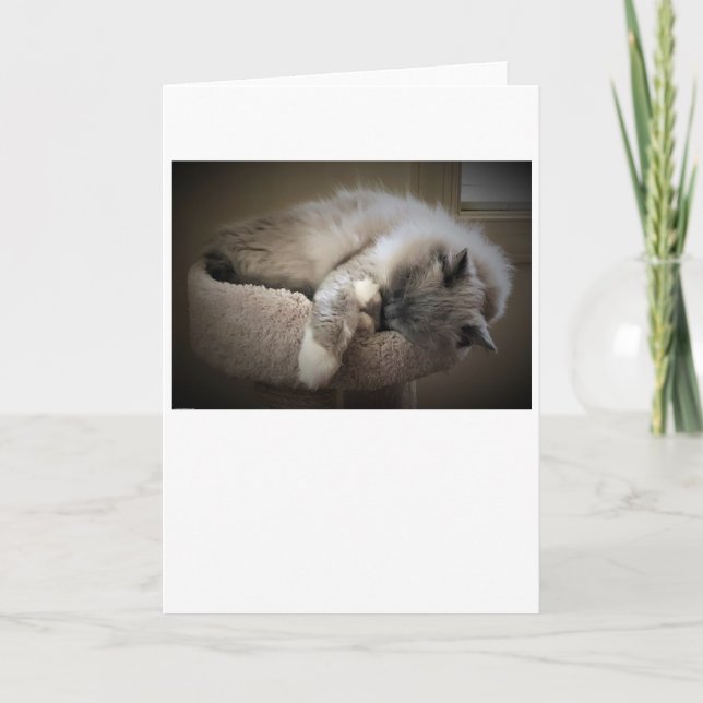 Långsamma dagar, kort (Framsida)