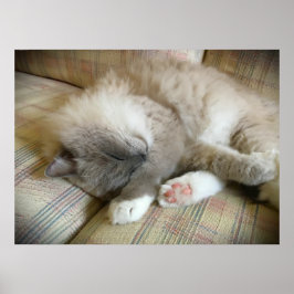 Långsamma dagar. poster