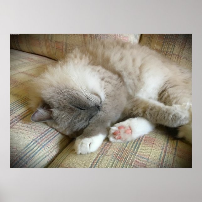 Långsamma dagar. poster (Framsidan)