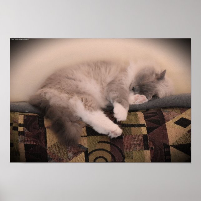 Långsamma dagar. poster (Framsidan)