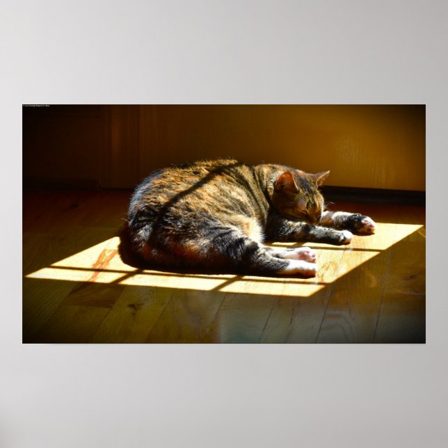 Långsamma dagar. poster (Framsidan)