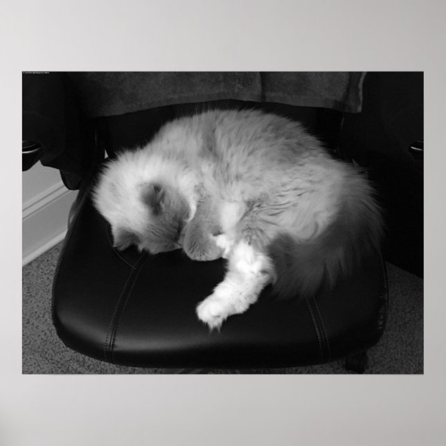 Långsamma dagar. poster (Framsidan)