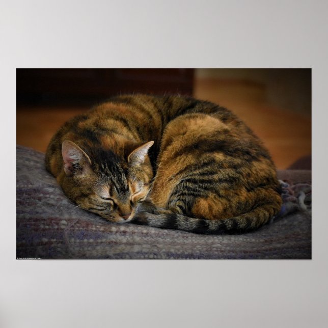 Långsamma dagar. poster (Framsidan)