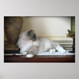 Långsamma dagar. poster