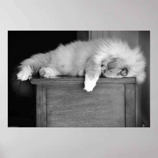 Långsamma dagar. poster (Framsidan)