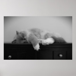 Långsamma dagar. poster