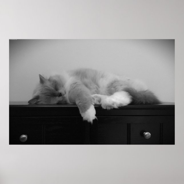 Långsamma dagar. poster (Framsidan)