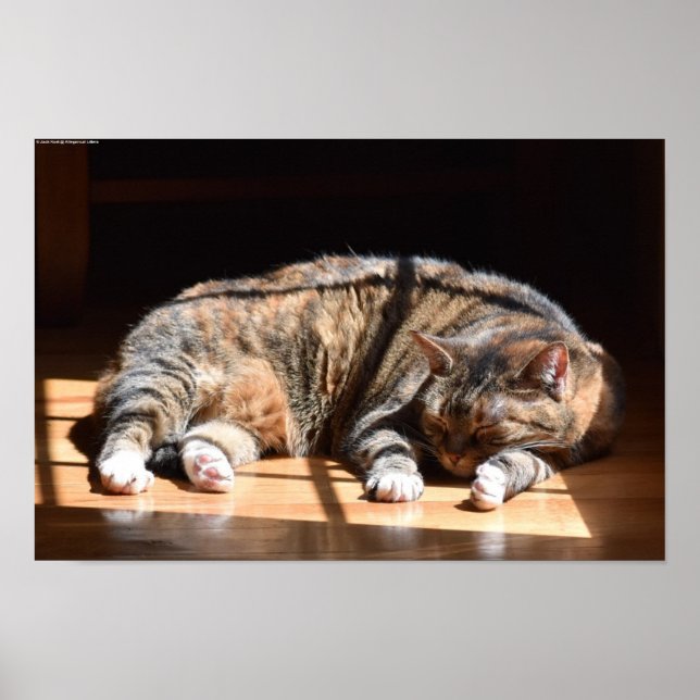 Långsamma dagar. poster (Framsidan)