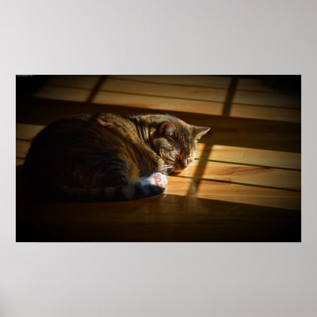 Långsamma dagar. poster (Framsidan)