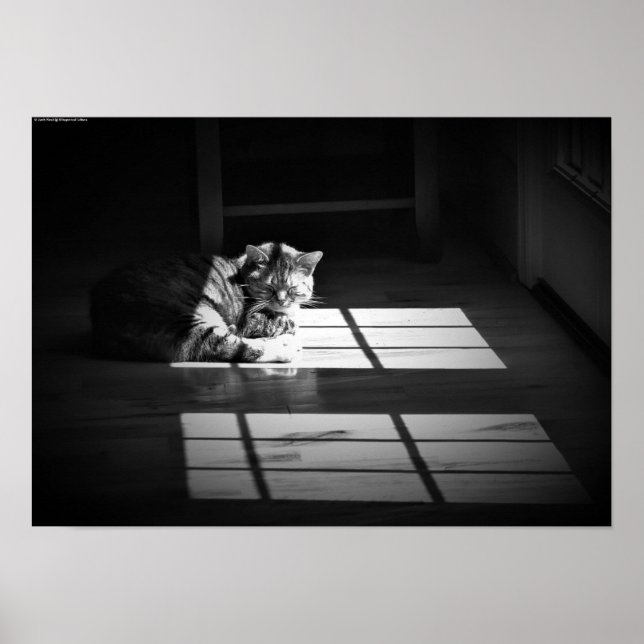 Långsamma dagar. poster (Framsidan)