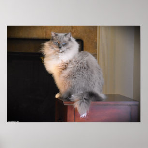 Långsamma dagar. poster