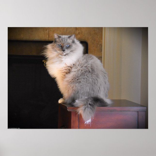 Långsamma dagar. poster (Framsidan)