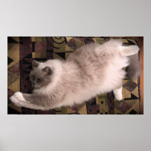 Långsamma dagar. poster