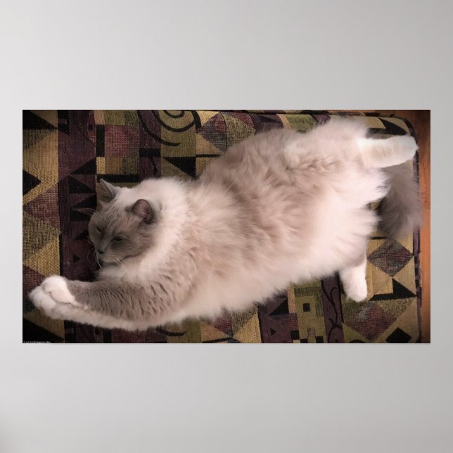 Långsamma dagar. poster (Framsidan)