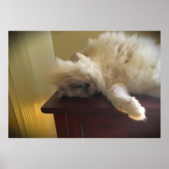 Långsamma dagar. poster (Framsidan)