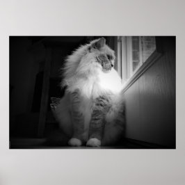 Långsamma dagar. poster