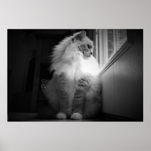 Långsamma dagar. poster