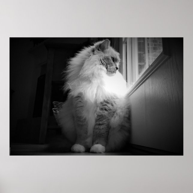 Långsamma dagar. poster (Framsidan)