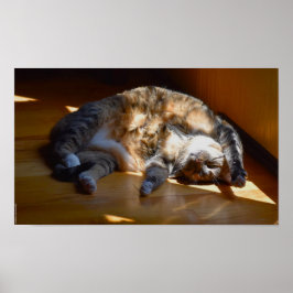 Långsamma dagar. poster