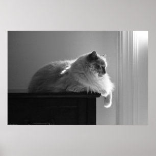 Långsamma dagar. poster